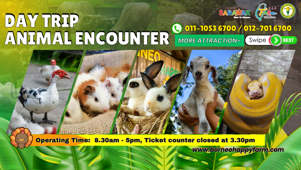 Borneo Happy Farm Admission Ticket - (INTERNATIONAL)