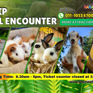Borneo Happy Farm Admission Ticket